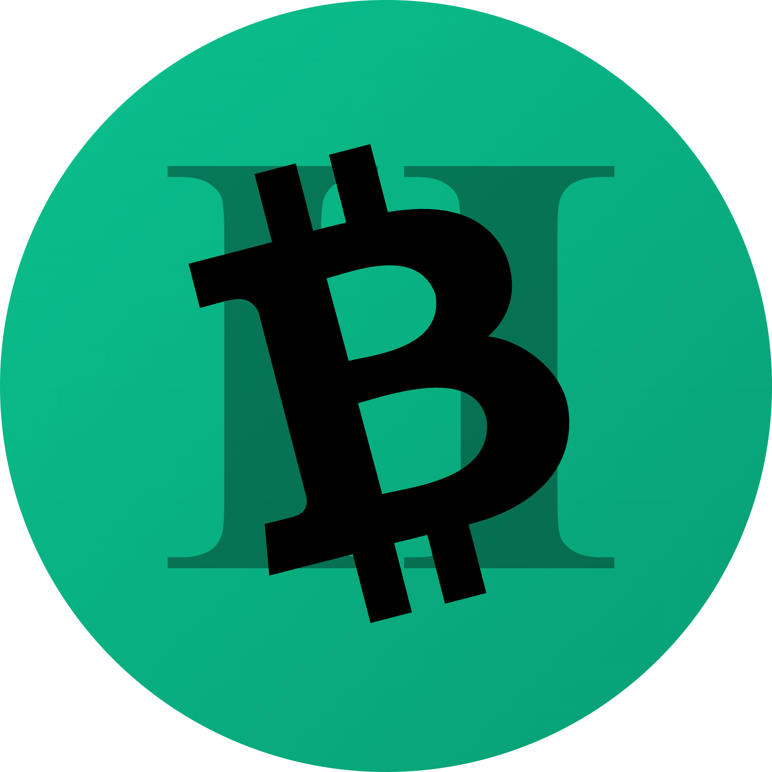 BCH2 logo